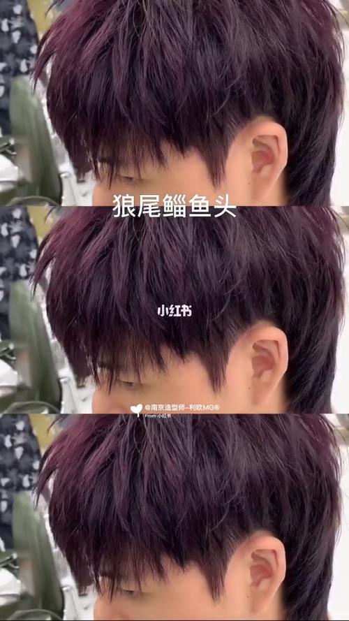 狼尾鲻鱼头参考图